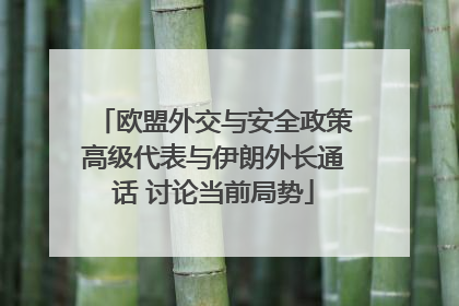 欧盟外交与安全政策高级代表与伊朗外长通话 讨论当前局势