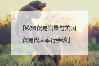 欧盟贸易官员与美国贸易代表举行会谈