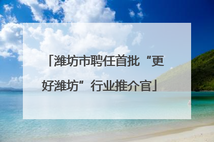 潍坊市聘任首批“更好潍坊”行业推介官