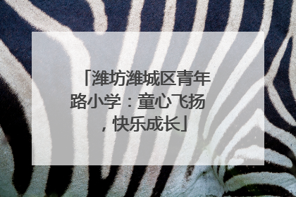 潍坊潍城区青年路小学：童心飞扬，快乐成长