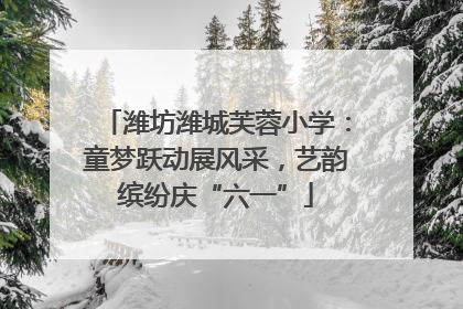 潍坊潍城芙蓉小学：童梦跃动展风采，艺韵缤纷庆“六一”
