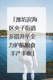 潍坊滨海区央子街道多措并举全力护航粮食丰产丰收
