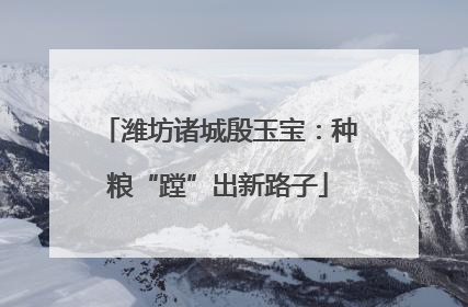 潍坊诸城殷玉宝：种粮“蹚”出新路子