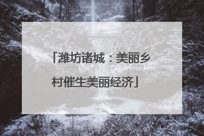 潍坊诸城：美丽乡村催生美丽经济