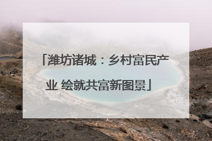 潍坊诸城：乡村富民产业 绘就共富新图景
