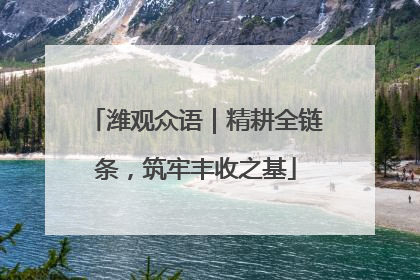 潍观众语｜精耕全链条，筑牢丰收之基