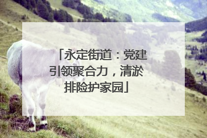 永定街道：党建引领聚合力，清淤排险护家园
