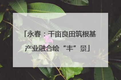 永春：千亩良田筑根基 产业融合绘“丰”景