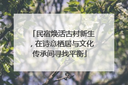 民宿焕活古村新生，在诗意栖居与文化传承间寻找平衡