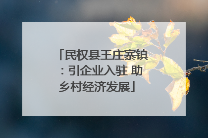 民权县王庄寨镇：引企业入驻 助乡村经济发展