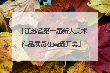 江苏省第十届新人美术作品展览在南通开幕