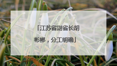 江苏省副省长胡彬郴，分工明确