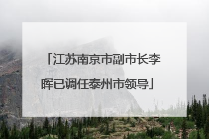 江苏南京市副市长李晖已调任泰州市领导