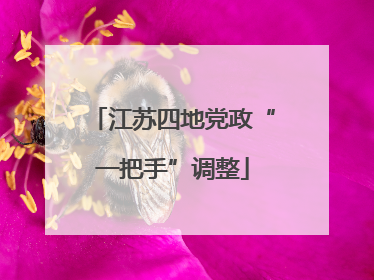江苏四地党政“一把手”调整