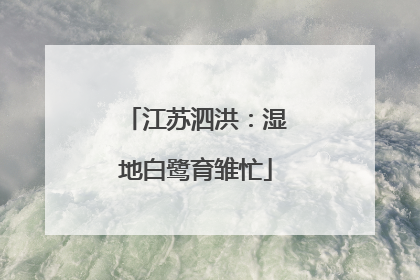 江苏泗洪：湿地白鹭育雏忙