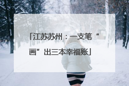 江苏苏州：一支笔“画”出三本幸福账
