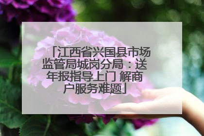 江西省兴国县市场监管局城岗分局：送年报指导上门 解商户服务难题
