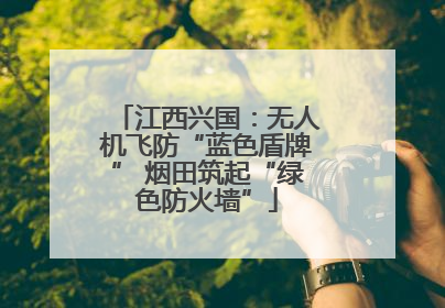 江西兴国：无人机飞防“蓝色盾牌” 烟田筑起“绿色防火墙”