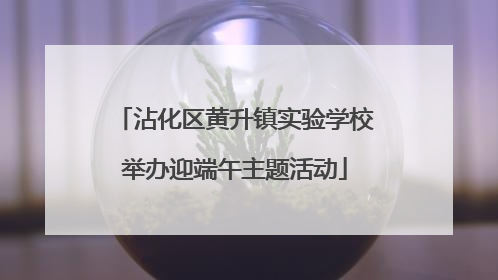 沾化区黄升镇实验学校举办迎端午主题活动