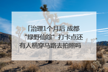 治理1个月后 成都“绿野仙踪”打卡点还有人横穿马路去拍照吗？｜民情瞭望