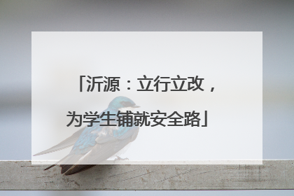 沂源：立行立改，为学生铺就安全路