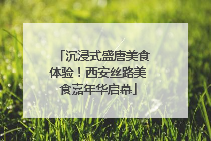沉浸式盛唐美食体验！西安丝路美食嘉年华启幕