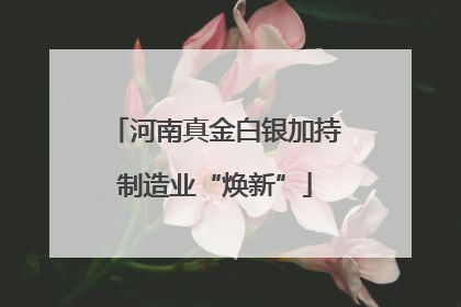 河南真金白银加持制造业“焕新”