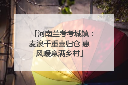 河南兰考考城镇：麦浪千重喜归仓 惠风暖意满乡村