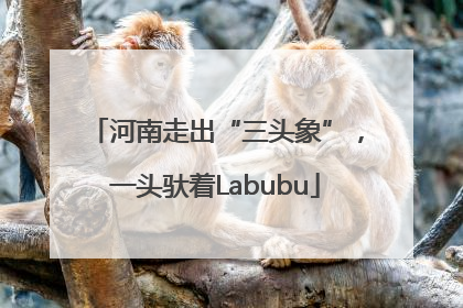 河南走出“三头象”，一头驮着Labubu