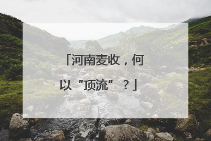 河南麦收，何以“顶流”？
