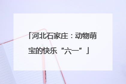 河北石家庄：动物萌宝的快乐“六一”