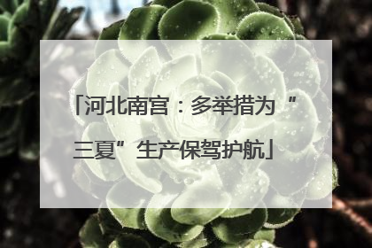 河北南宫：多举措为“三夏”生产保驾护航
