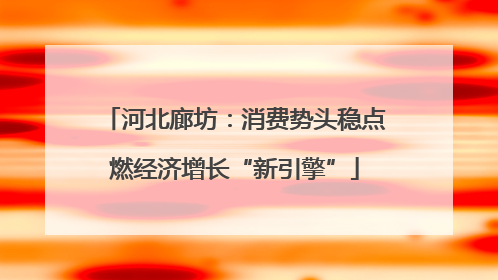 河北廊坊：消费势头稳点燃经济增长“新引擎”