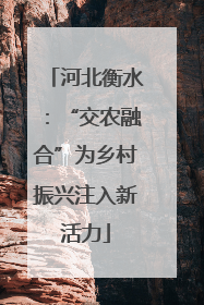 河北衡水：“交农融合”为乡村振兴注入新活力