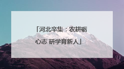 河北辛集：农耕砺心志 研学育新人