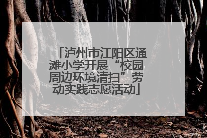 泸州市江阳区通滩小学开展“校园周边环境清扫”劳动实践志愿活动