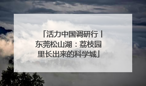 活力中国调研行丨东莞松山湖：荔枝园里长出来的科学城