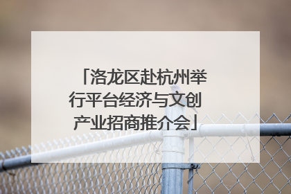 洛龙区赴杭州举行平台经济与文创产业招商推介会