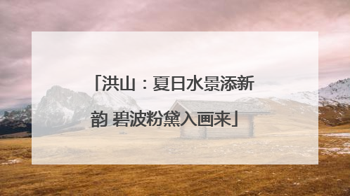 洪山：夏日水景添新韵 碧波粉黛入画来
