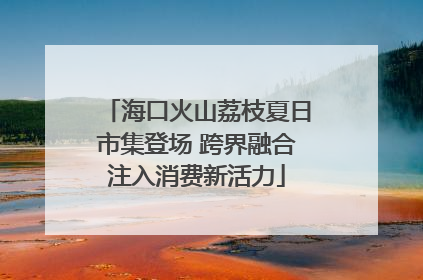 海口火山荔枝夏日市集登场 跨界融合注入消费新活力