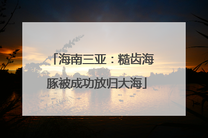 海南三亚：糙齿海豚被成功放归大海