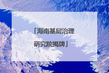 海南基层治理研究院揭牌