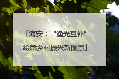 海安：“渔光互补” 绘就乡村振兴新图景