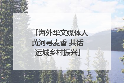 海外华文媒体人黄河寻麦香 共话运城乡村振兴