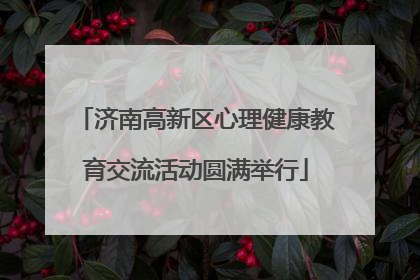 济南高新区心理健康教育交流活动圆满举行