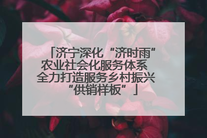 济宁深化“济时雨”农业社会化服务体系 全力打造服务乡村振兴“供销样板”