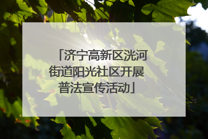 济宁高新区洸河街道阳光社区开展普法宣传活动