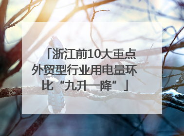 浙江前10大重点外贸型行业用电量环比“九升一降”