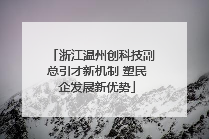 浙江温州创科技副总引才新机制 塑民企发展新优势