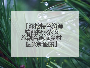 深挖特色资源 靖西探索农文旅融合绘就乡村振兴新图景